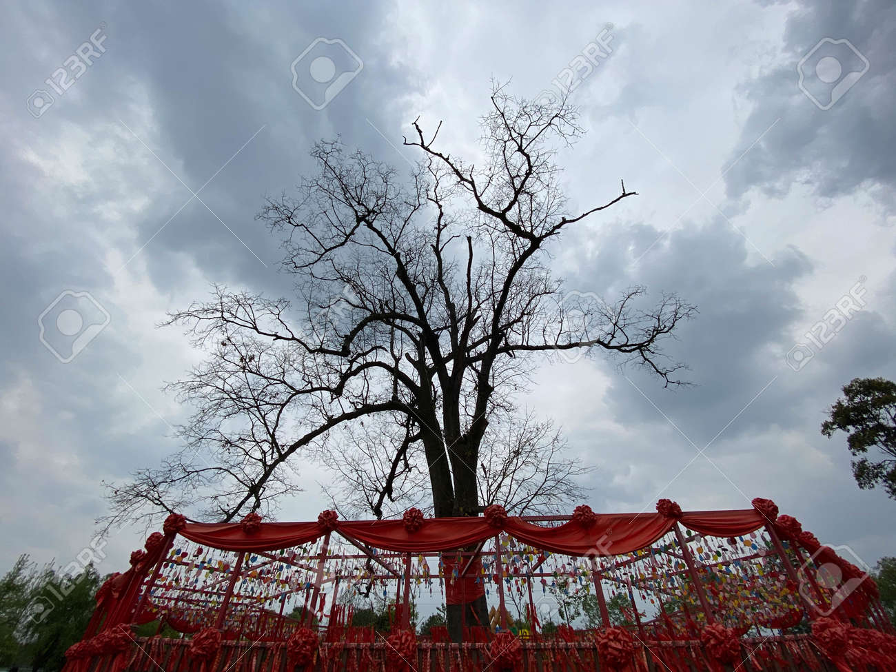 etiam-dictum-ipsum-a-felis