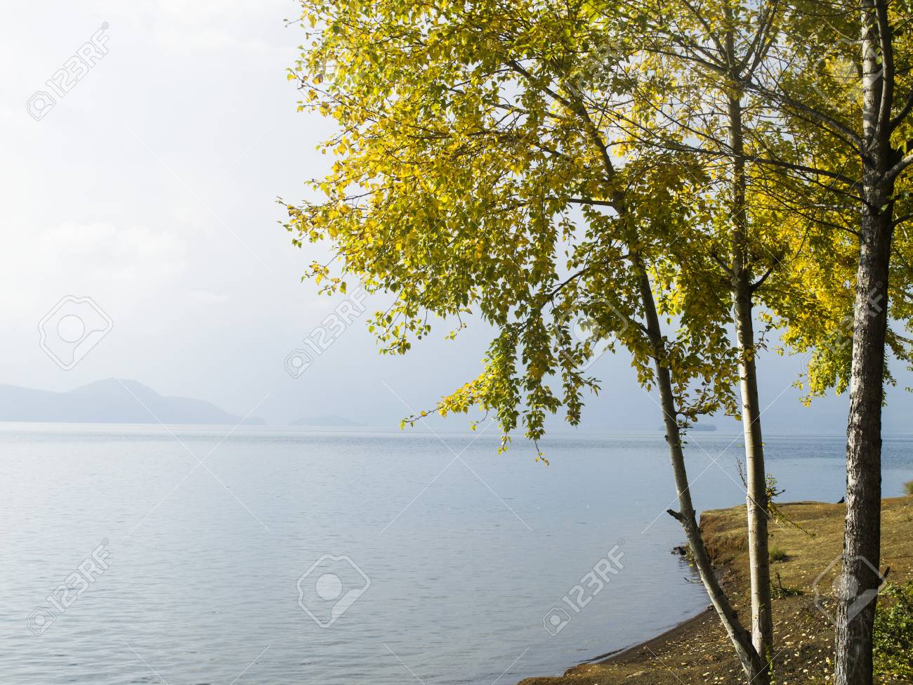 etiam-dictum-ipsum-a-felis