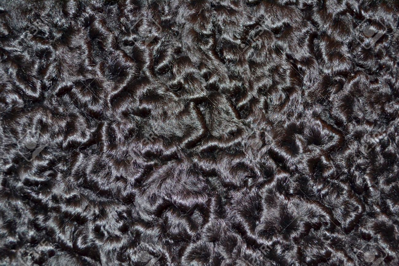 Fourrure astrakan Clearance