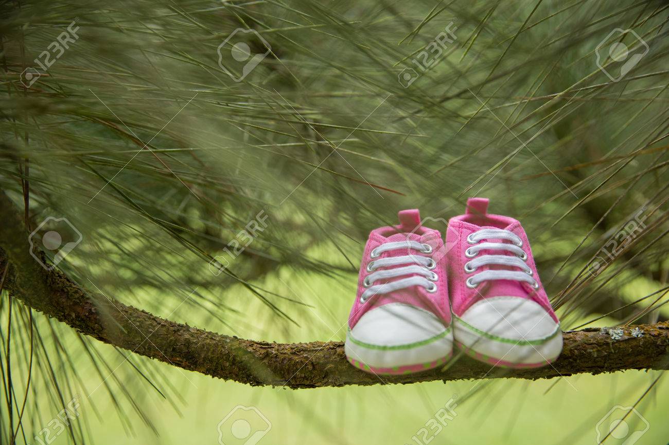 ペア ピンク スニーカー ブランチは 概念 自然の背景の幼児の靴 の写真素材 画像素材 Image