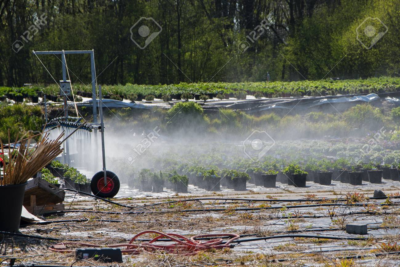 Outdoor Bewasserungssystem Fur Die Bewasserung Der Topfpflanzen In Einem Gartenbau Gartnerei Verwendet Lizenzfreie Fotos Bilder Und Stock Fotografie Image 58585459