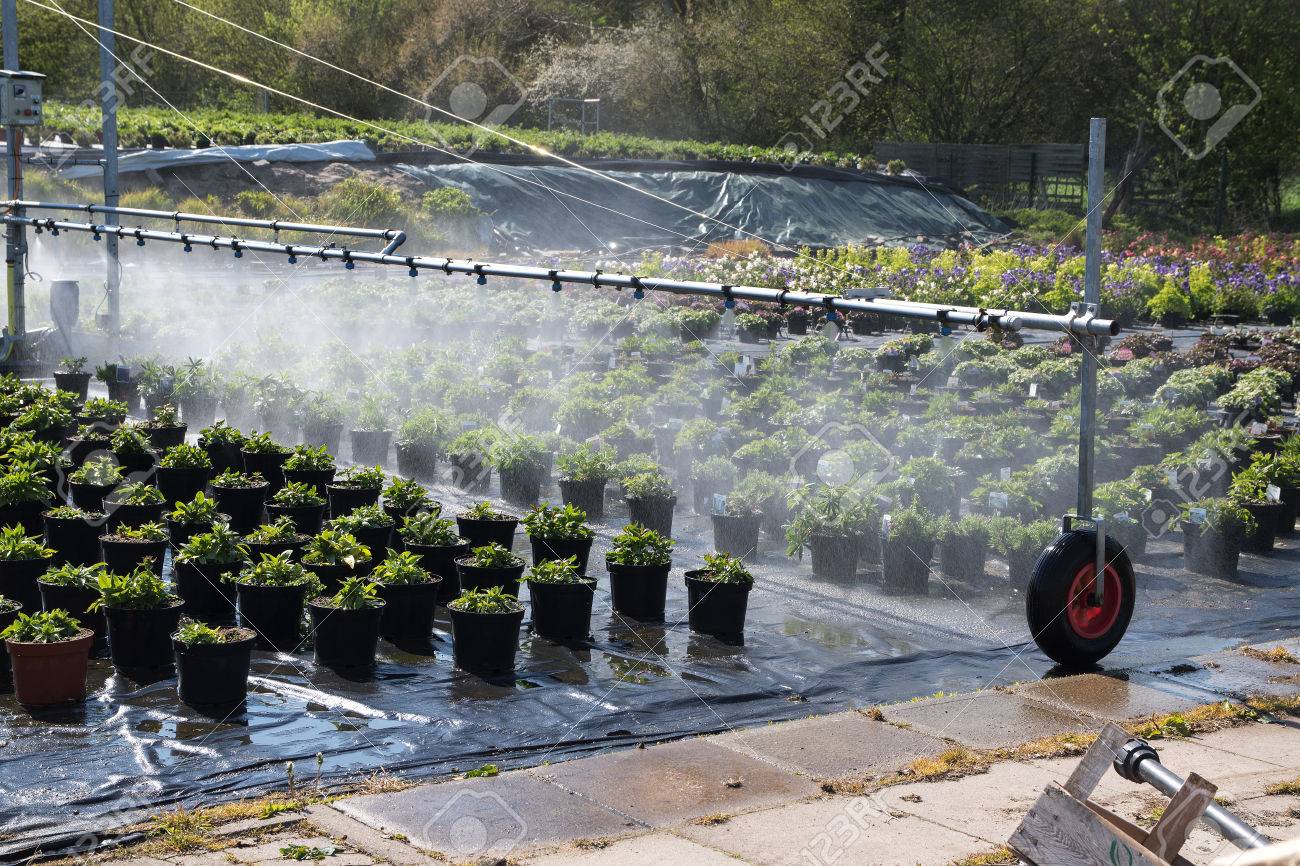 Bewasserungssystem Fur Die Bewasserung Der Topfpflanzen Im Aussenbereich Eines Gartenbau Gartnerei Verwendet Lizenzfreie Fotos Bilder Und Stock Fotografie Image 58585463