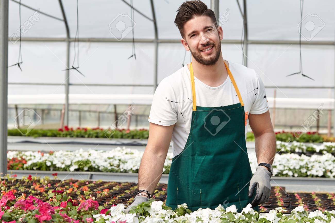 portrait of a smiling greenhouse worker stock photo picture and greenhouse worker