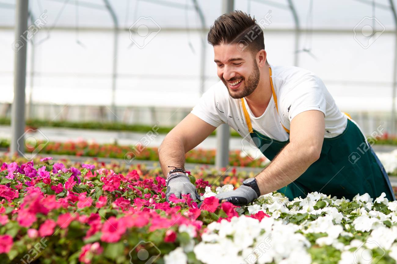 portrait of a smiling greenhouse worker stock photo picture and greenhouse worker