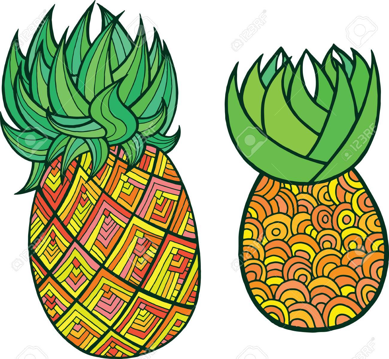 Pineapple coloring page Graphic vector colorful doodle art for coloring books for adults Tropical