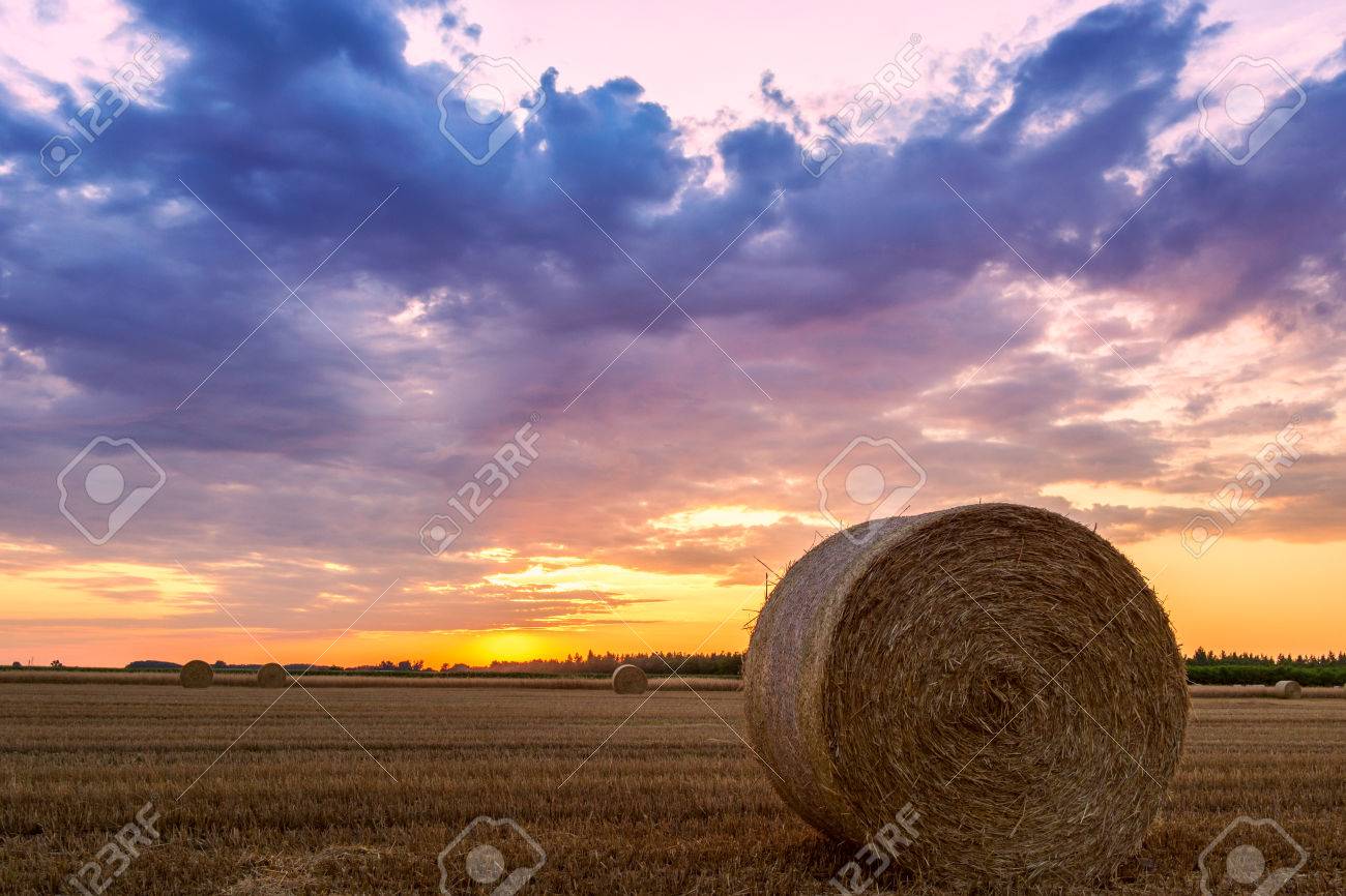 Sunset Over Farm Field With Hay Bales In Hungary Stock Photo Picture And Royalty Free Image Image