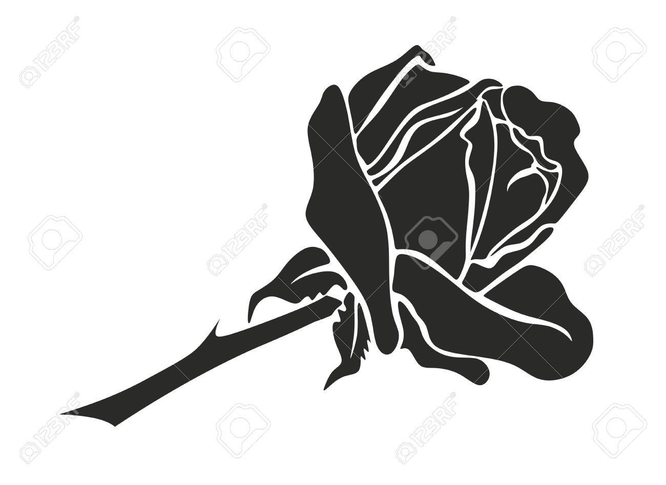 いばらの黒と白のローズのイラスト の写真素材 画像素材 Image いばらの黒と白のローズのイラスト の写真素材 画像素材 Image