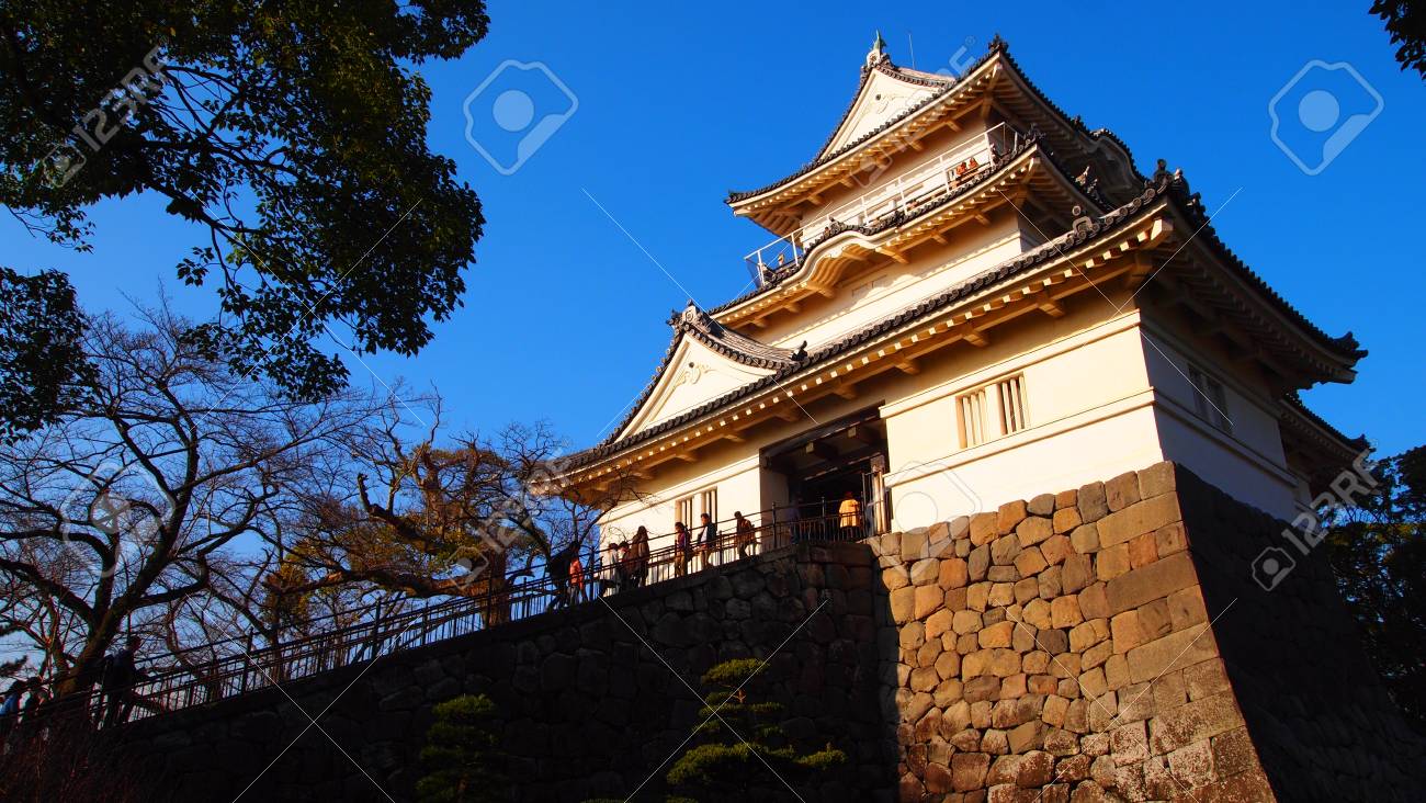 etiam-dictum-ipsum-a-felis