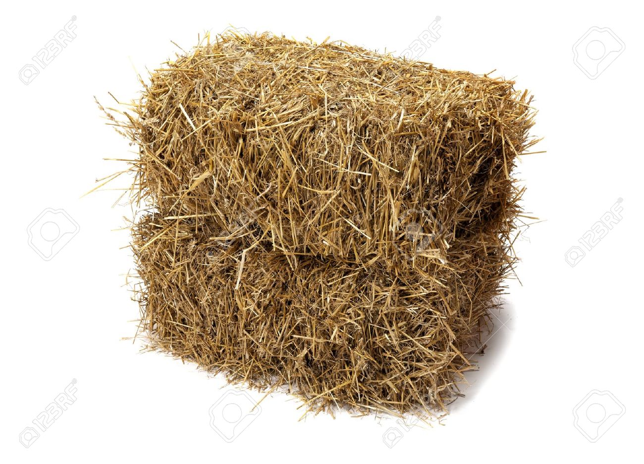 studio shot of hay