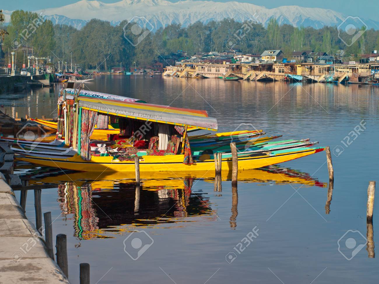 etiam-dictum-ipsum-a-felis