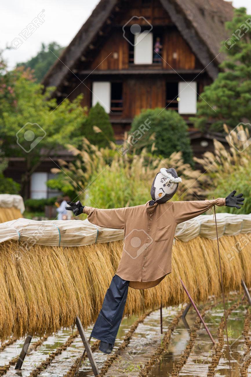 白川郷 日本 16 年 9 月 23 日 白川郷で稲の茎の乾燥とよく設計され 飾られたかかしのクローズ アップ 後ろに特定の結合手の屋根の家 の写真素材 画像素材 Image