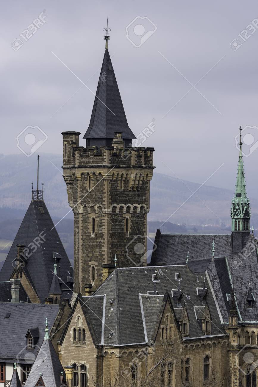 etiam-dictum-ipsum-a-felis