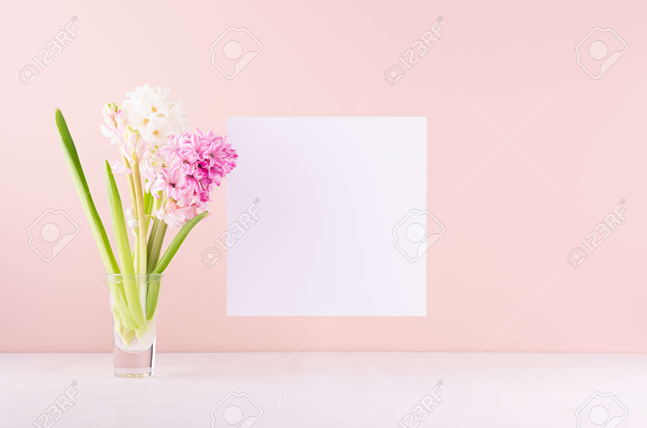 Soft light exquisite pink hyacinth flowers in glass vase with white blank paper for text on white wood table, romantic springtime background. - 168468853 Soft light exquisite pink hyacinth flowers in glass vase with white blank paper for text on white wood table, romantic springtime background. - 168468853