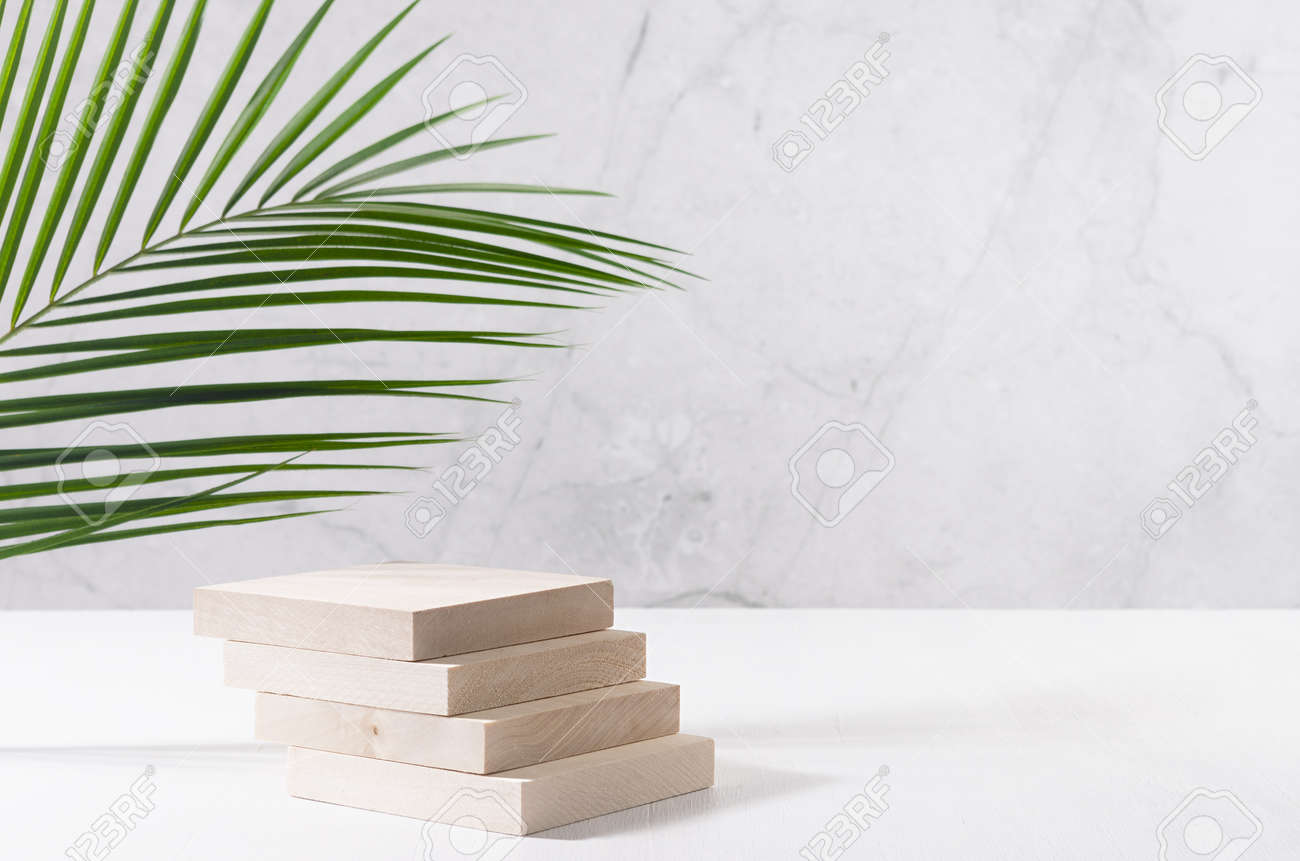 Natural wood podium with green palm leaf in white and gray marble interior with sunlight and shadow. Showcase for cosmetic products, goods, shoes, bags, watches. - 168468865 Natural wood podium with green palm leaf in white and gray marble interior with sunlight and shadow. Showcase for cosmetic products, goods, shoes, bags, watches. - 168468865