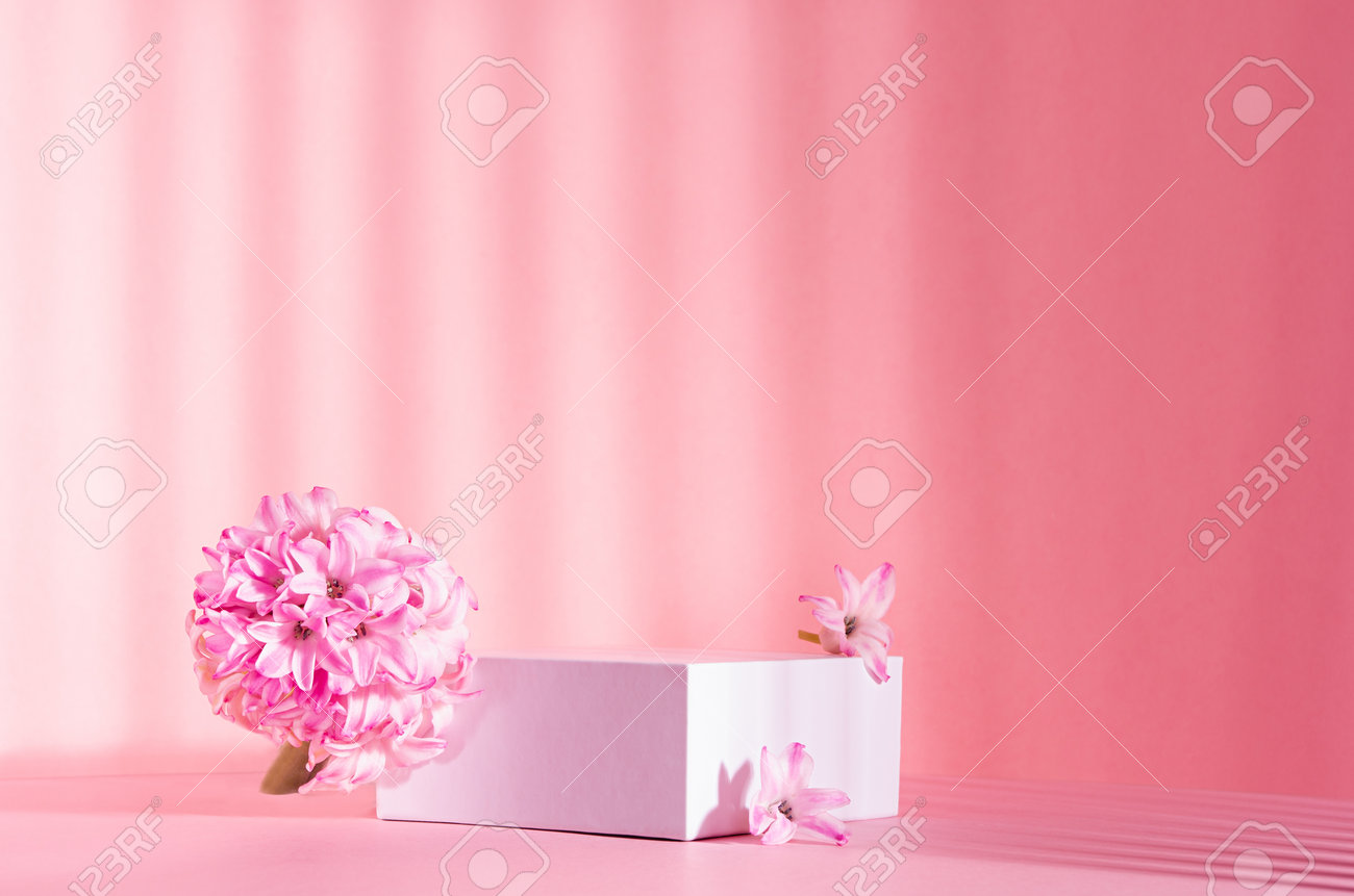 Elegant spring showcase with white square podium for display cosmetic and goods in sunlight, striped shadows with tender hyacinth flowers on pink background, copy space. - 168468870 Elegant spring showcase with white square podium for display cosmetic and goods in sunlight, striped shadows with tender hyacinth flowers on pink background, copy space. - 168468870