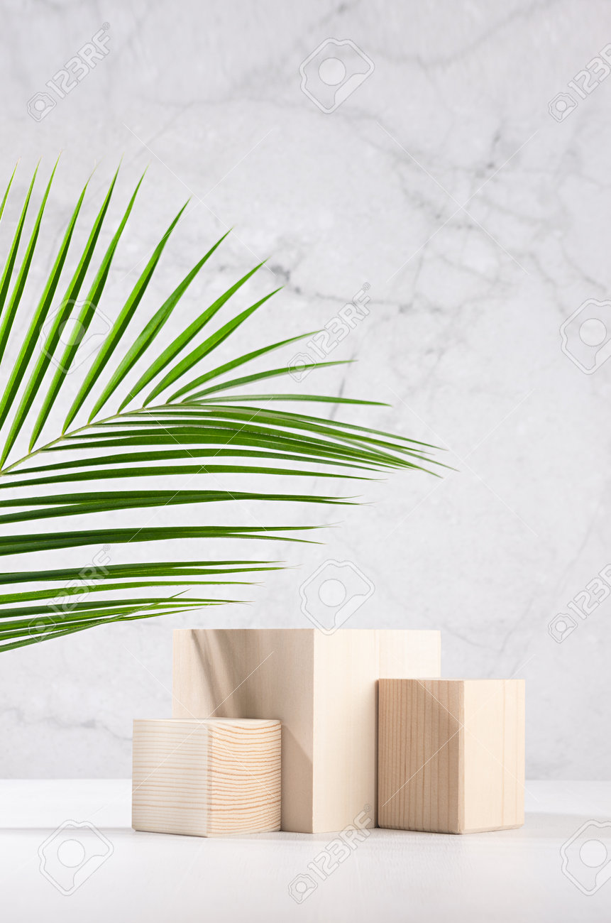 Summer style of showcase for cosmetics product display - wooden cube platforms with green palm leaf in sunlight on white wood board, gray plaster wall, vertical. - 168468899 Summer style of showcase for cosmetics product display - wooden cube platforms with green palm leaf in sunlight on white wood board, gray plaster wall, vertical. - 168468899