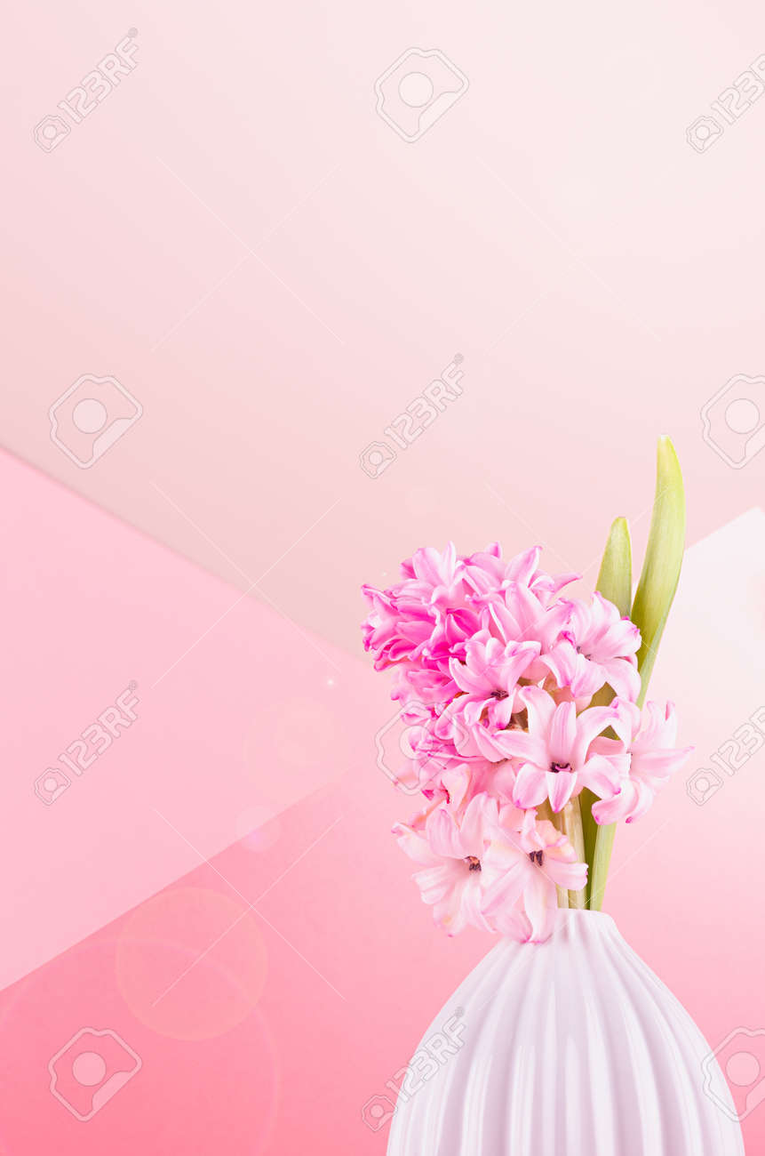 Fresh delicate spring background with hyacinth flower for easter in white vase with sunbeam, sun flare on pastel pink background, copy space, closeup. - 168468906 Fresh delicate spring background with hyacinth flower for easter in white vase with sunbeam, sun flare on pastel pink background, copy space, closeup. - 168468906