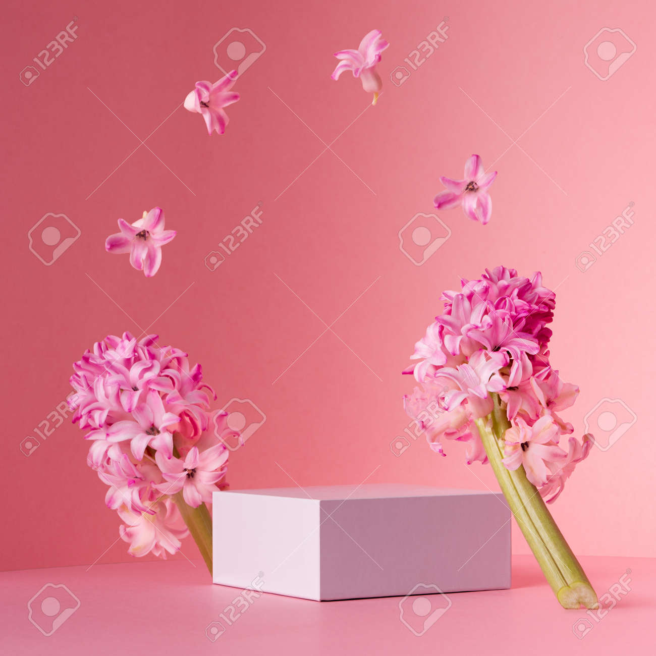 Delicate spring mock up for cosmetic and product display with white square podium, tender hyacinth flowers flying as frame on pastel pink background. - 168468923 Delicate spring mock up for cosmetic and product display with white square podium, tender hyacinth flowers flying as frame on pastel pink background. - 168468923