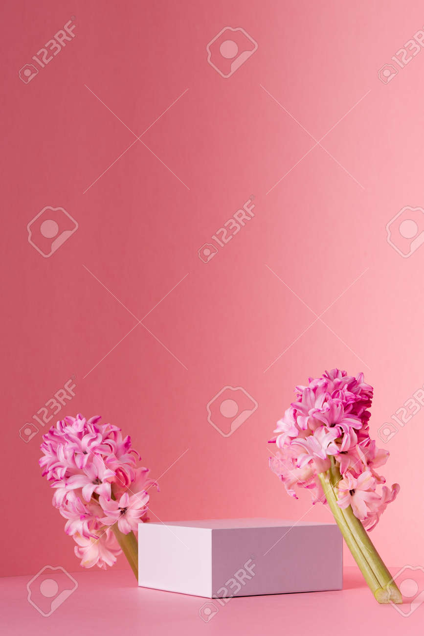 White square podium for display cosmetic, products with spring hyacinth flowers standing in sunlight on gradient pastel pink background, vertical. - 168468971 White square podium for display cosmetic, products with spring hyacinth flowers standing in sunlight on gradient pastel pink background, vertical. - 168468971