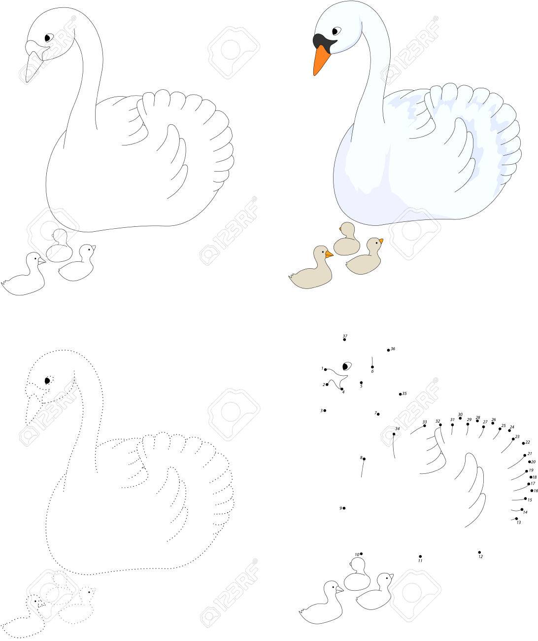 雛と彼女の漫画白鳥 ドット ドット教育ゲーム子供のために ベクトル図のイラスト素材 ベクタ Image 雛と彼女の漫画白鳥 ドット ドット教育ゲーム子供のために ベクトル図のイラスト素材 ベクタ Image