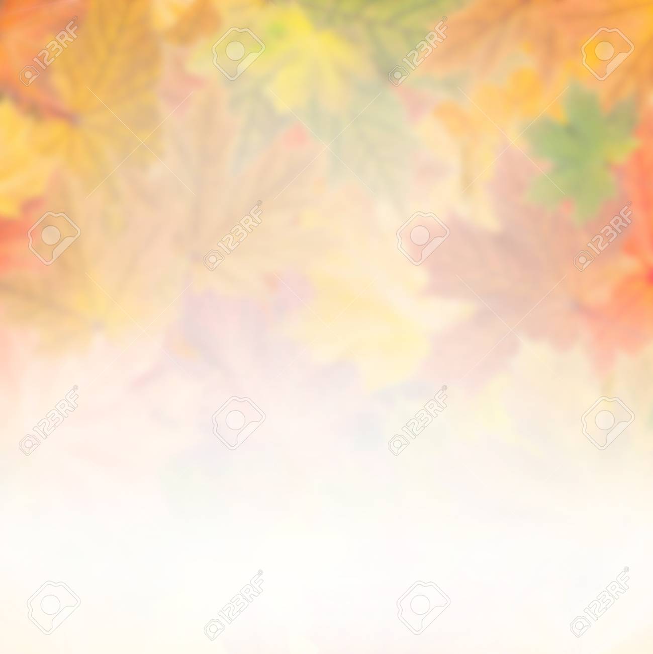 秋の紅葉背景デザインの明るい葉の壁紙 の写真素材 画像素材 Image