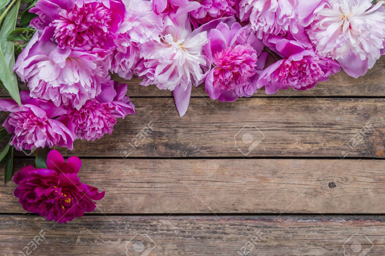 Peony Flowers On Wooden Rustic Background Stock Photo Peony Flowers On Wooden Rustic Background Stock Photo