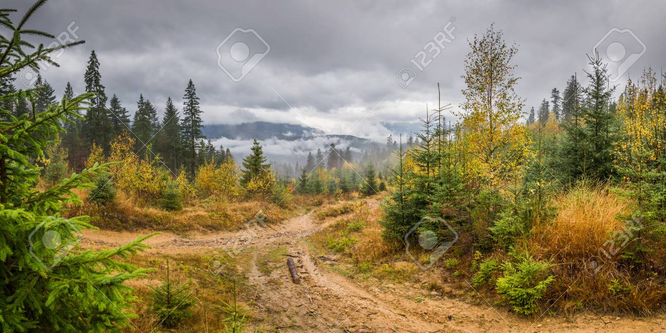rainy landscape with autumn