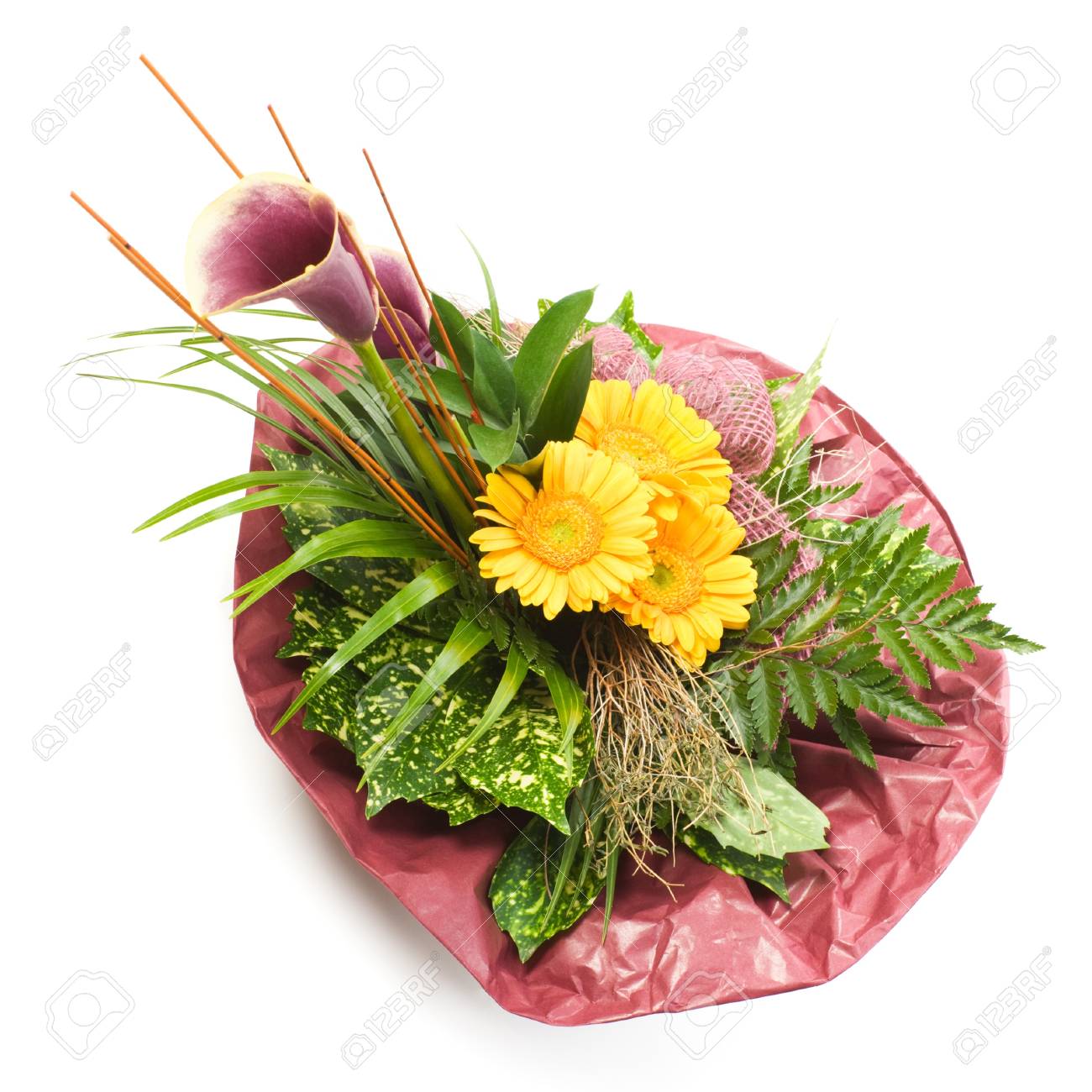 ガーベラと白い背景のカラーの花束 の写真素材 画像素材 Image