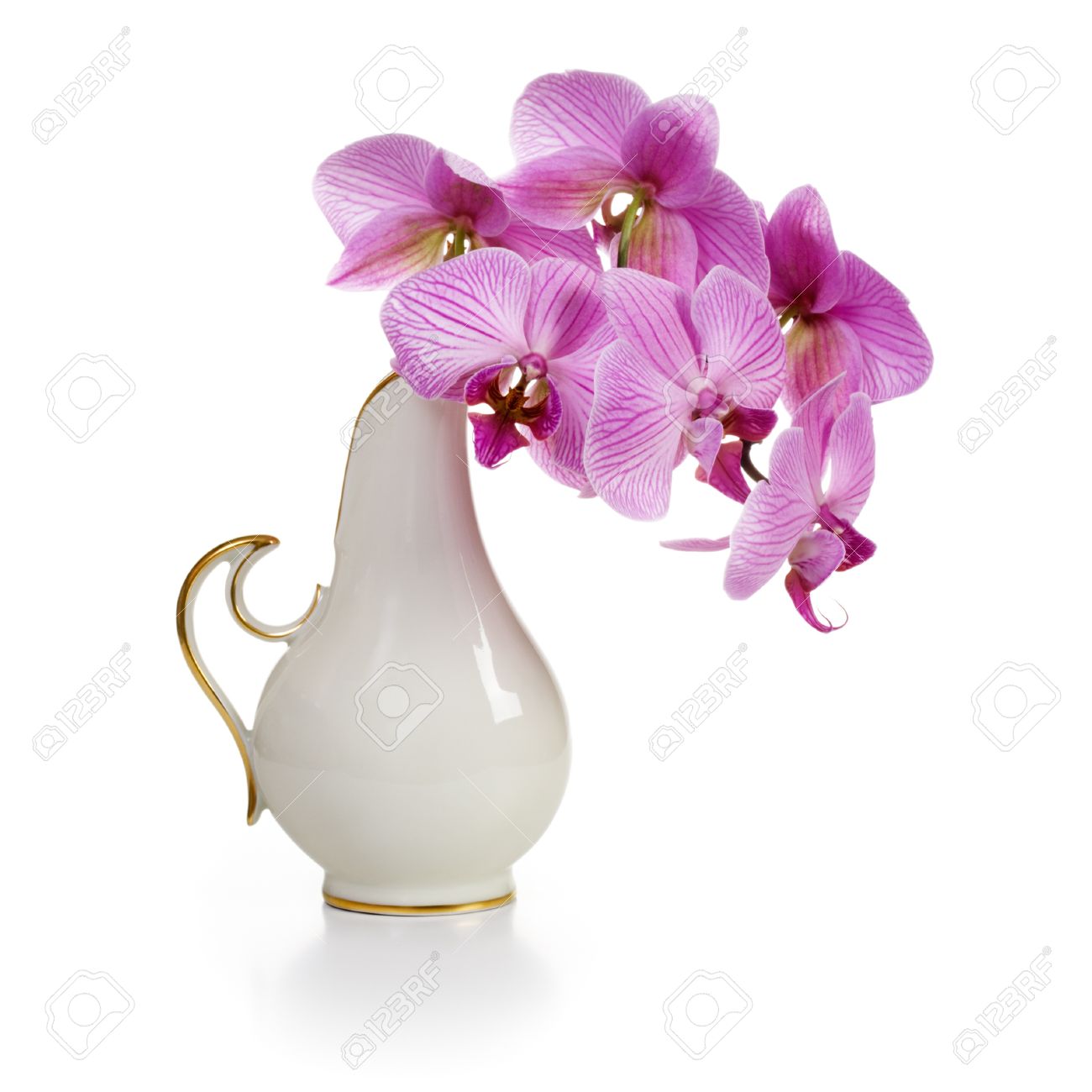 Ancien Vase En Porcelaine Blanche Avec Des Fleurs Dorchidée Rose Sur Fond Blanc