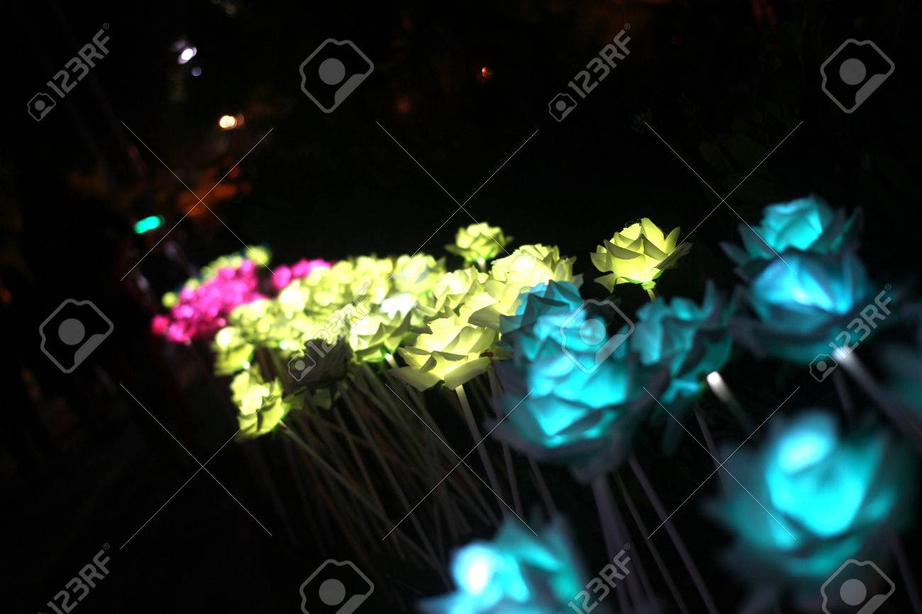 夜の花します の写真素材 画像素材 Image