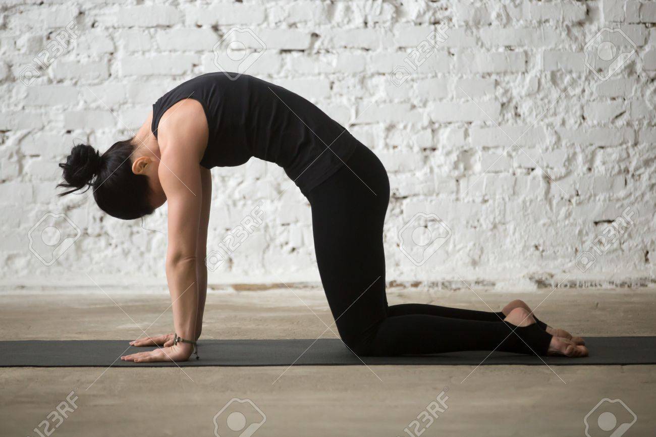 Yoga Standing Cat Pose Yoga Standing Cat Pose