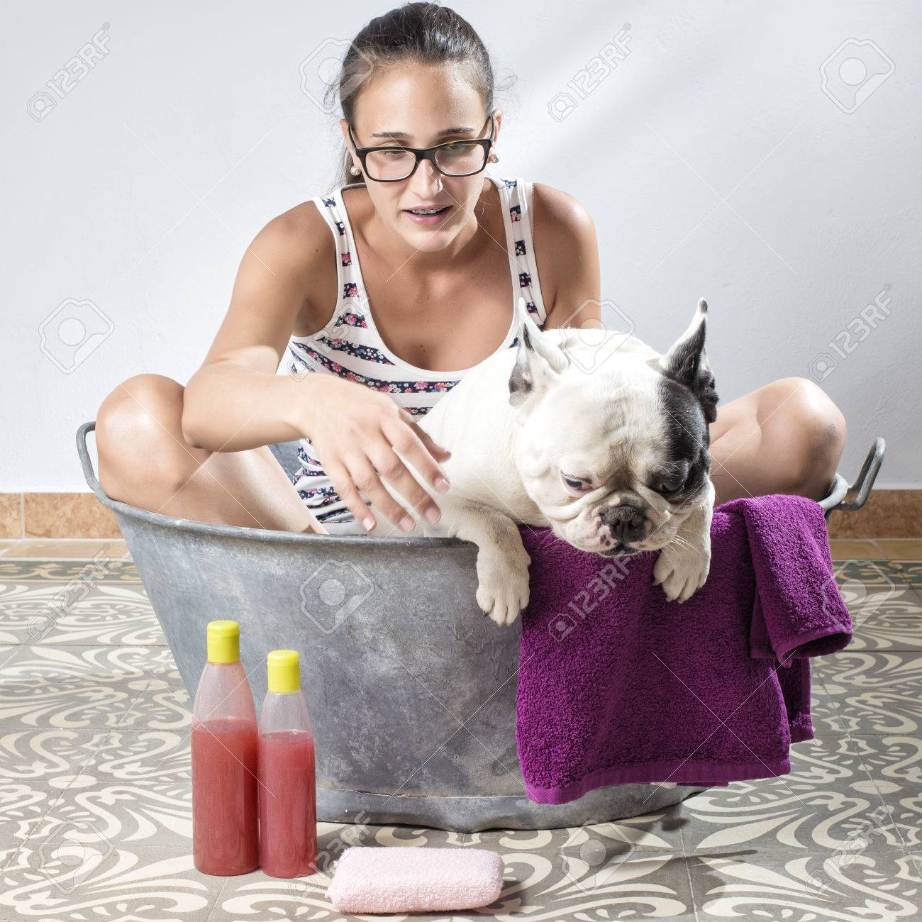 Femme Laver Un Chien De Bouledogue Français De Race Dans La Vieille Baignoire