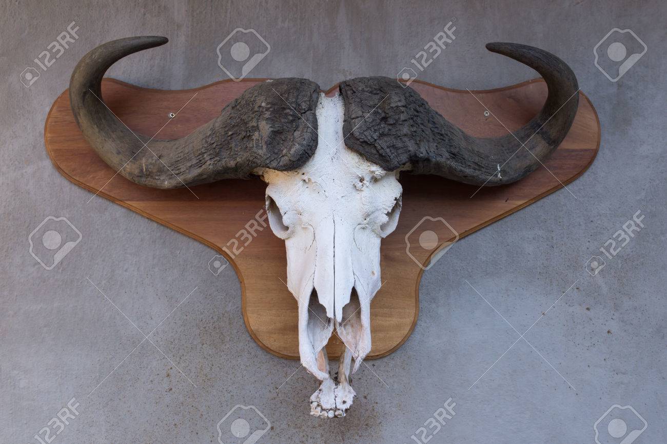 ハンティングトロフィー調 壁掛けインテリア 鹿 頭 直径48cm ゴールド ウォールインテリア 装飾 デコレーション 動物 アート オブジェ  ハンティングトロフィー 頭蓋骨 鹿 シカ インテリア ウォールアート アンティーク 置物 彫刻 美術品 装飾 ウォール装飾 壁掛け 壁掛け ..., image size:1300x866