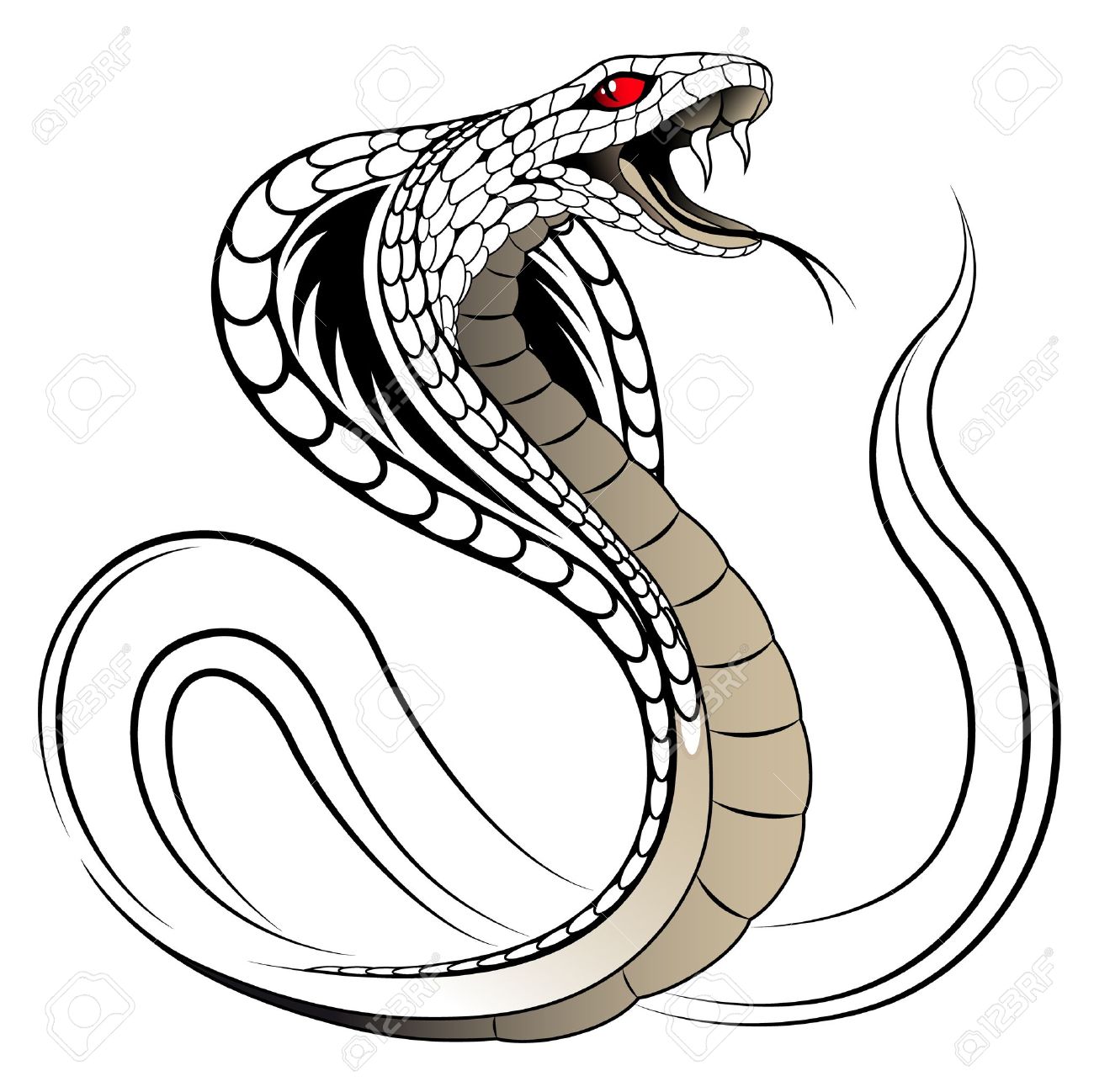 Vector Snake Cobra Royalty Free Svg Cliparts Vectors And Stock Illustration Image