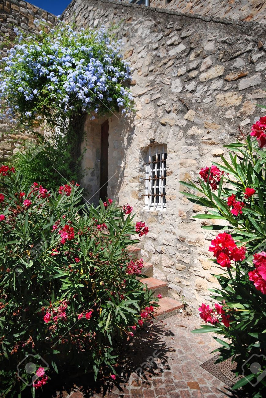 家の壁と窓でフランスの花 の写真素材 画像素材 Image
