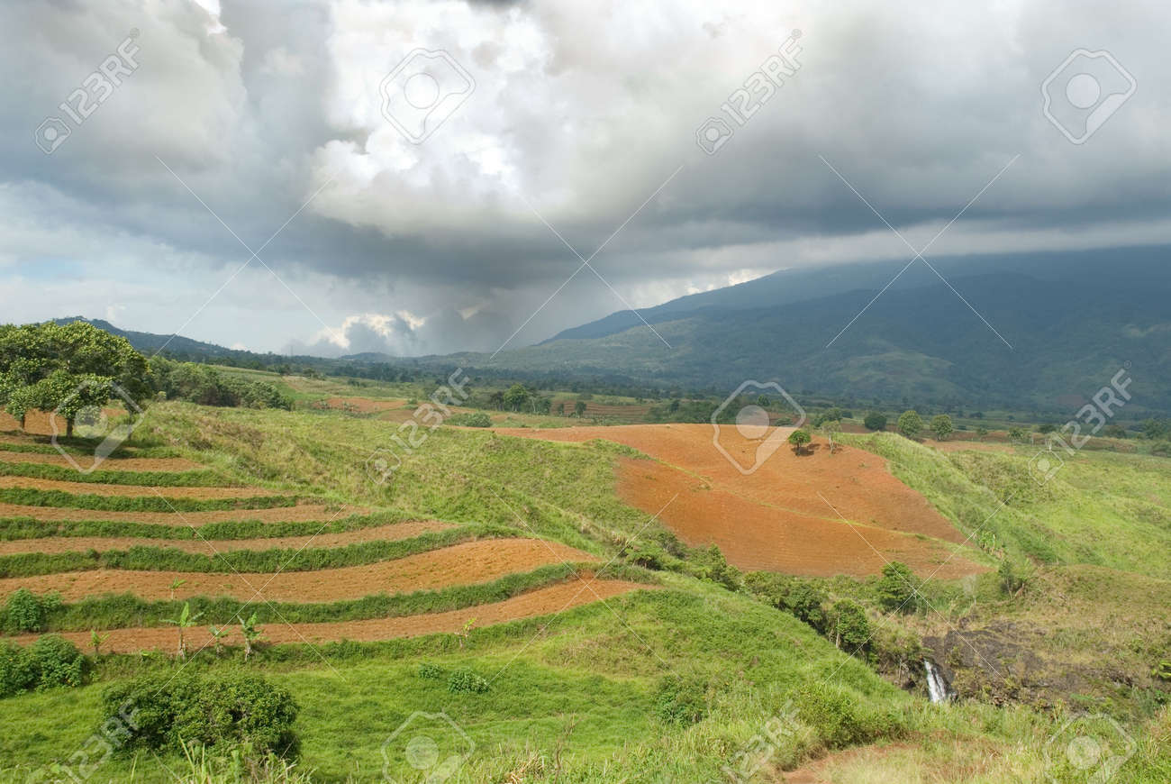 Tropical Agriculture Landscape With Plowed Fields Under A Low Nimbus  Cloudscape On The Bukidnon (Mindanao, Philippines) Volcanic Mountainous  Plateau With Red Fertile Volcanic Soil, Jungle And Canyons. Stock Photo,  Picture and Royalty, image size:1300x870