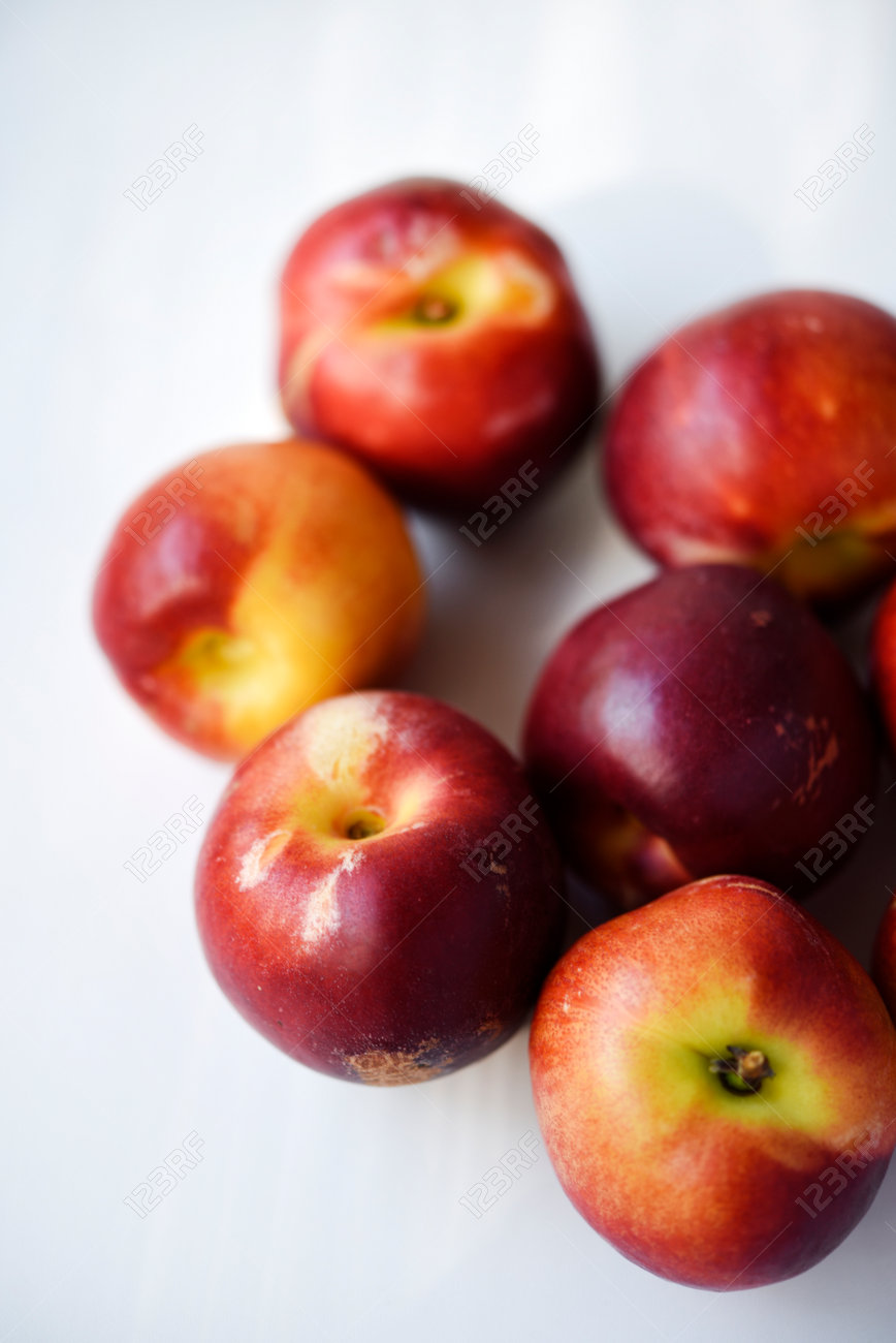 etiam-dictum-ipsum-a-felis