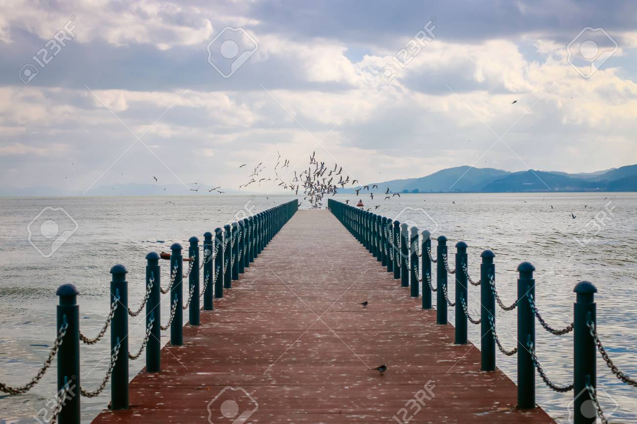 etiam-dictum-ipsum-a-felis