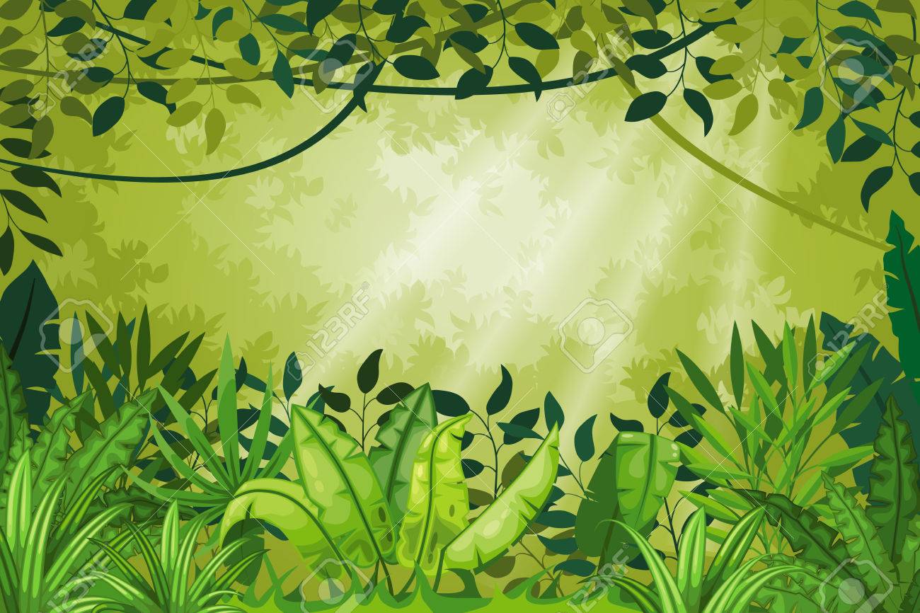 図ジャングルの風景のイラスト素材 ベクタ Image