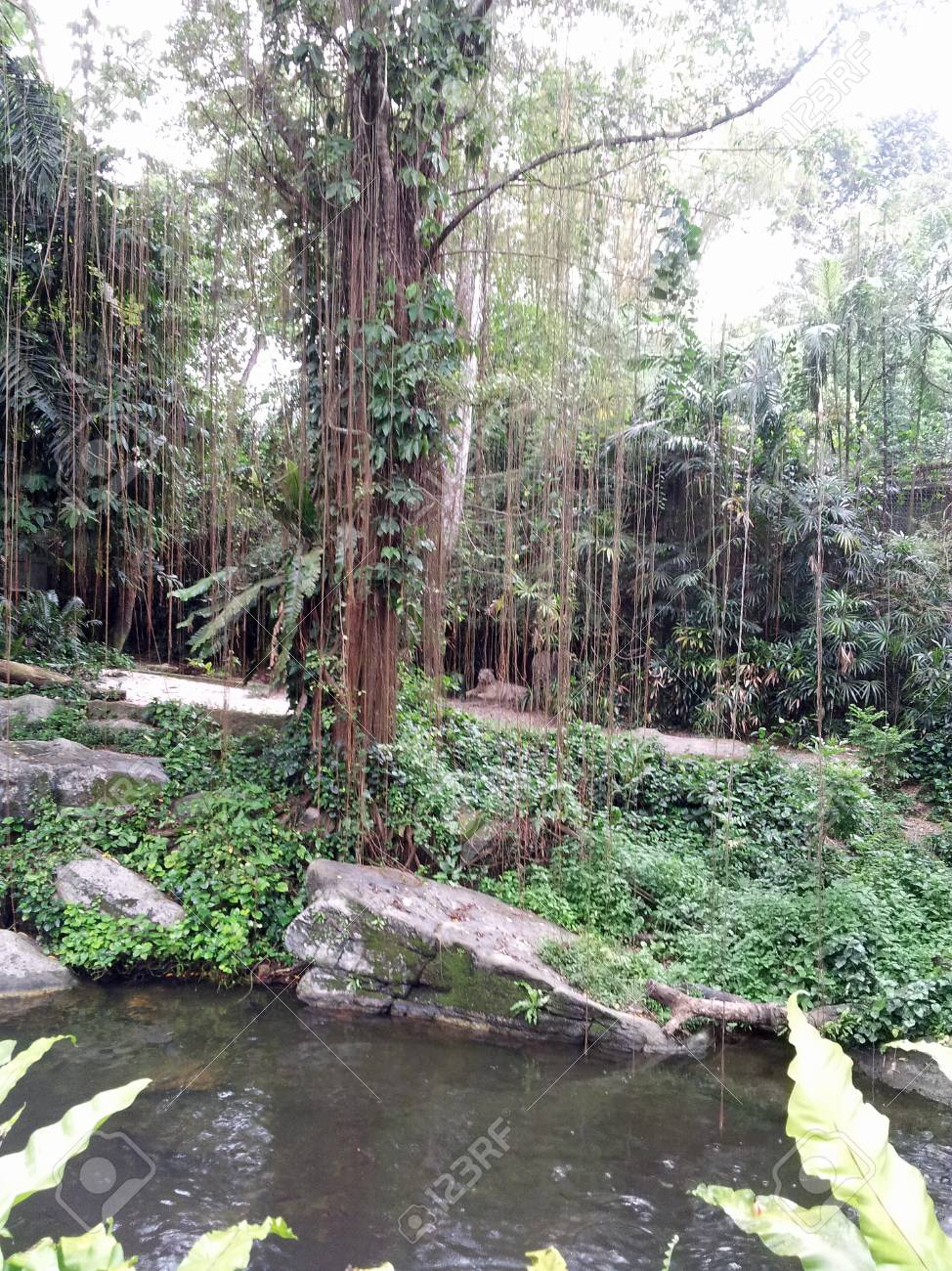 etiam-dictum-ipsum-a-felis