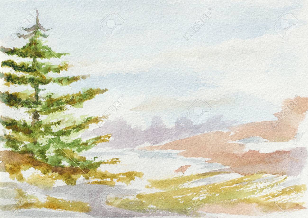 モミの木と自然の風景 手描きの水彩画のイラスト の写真素材 画像素材 Image