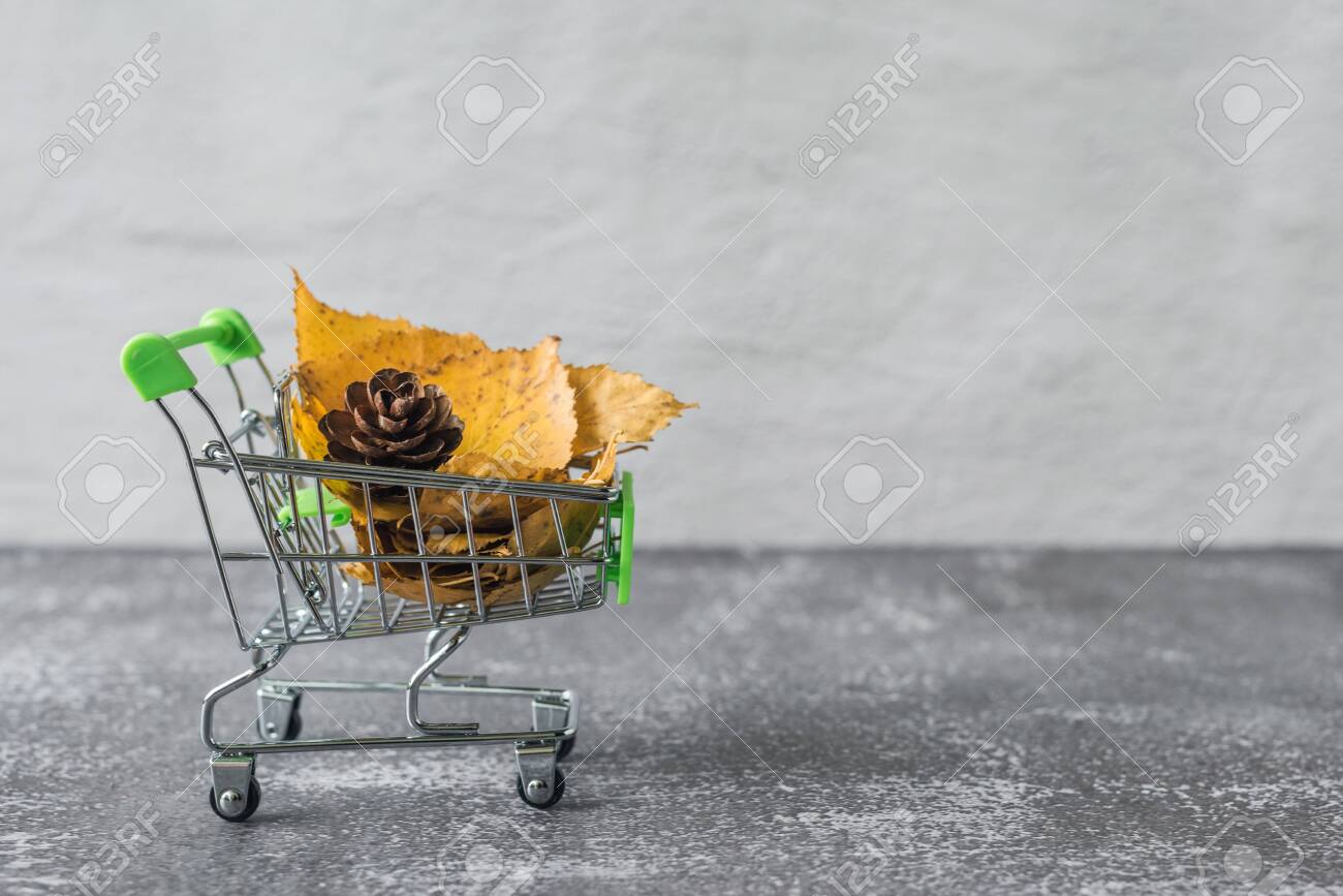 small toy shopping cart