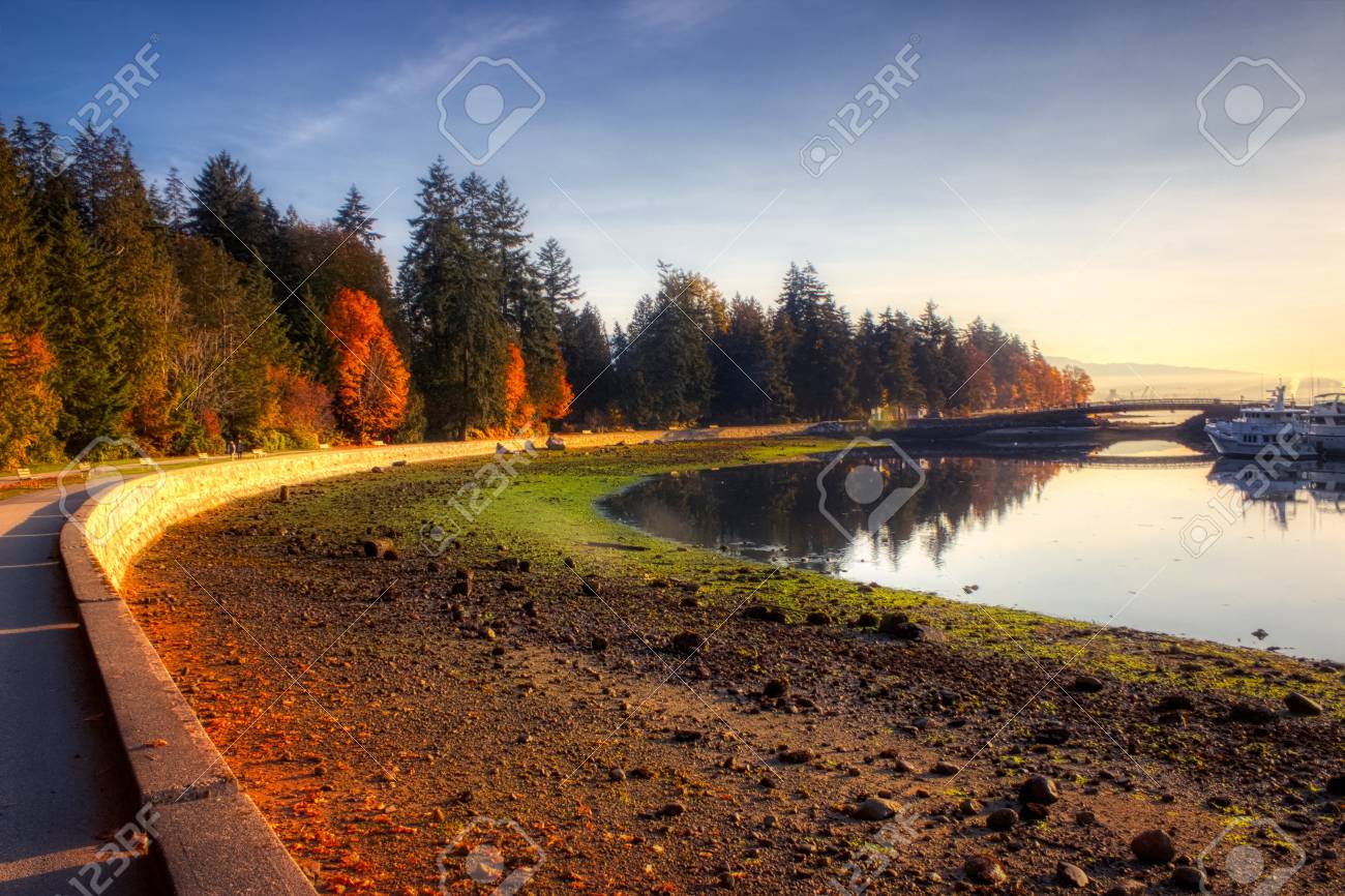 Vibrant Autumn Leaves And Calm Water Seen Along The Stanley Park