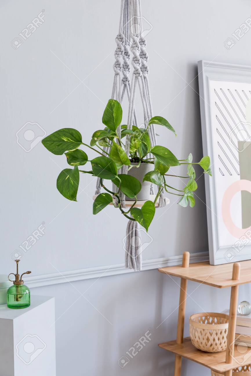 Close up of handmade macrame shelf planter hanger for indoor plants, rattan shelf, poster frame and elegant accessories. Cozy home decor. Stylish and minimalistic boho interior of living room. - 131133737 Close up of handmade macrame shelf planter hanger for indoor plants, rattan shelf, poster frame and elegant accessories. Cozy home decor. Stylish and minimalistic boho interior of living room. - 131133737