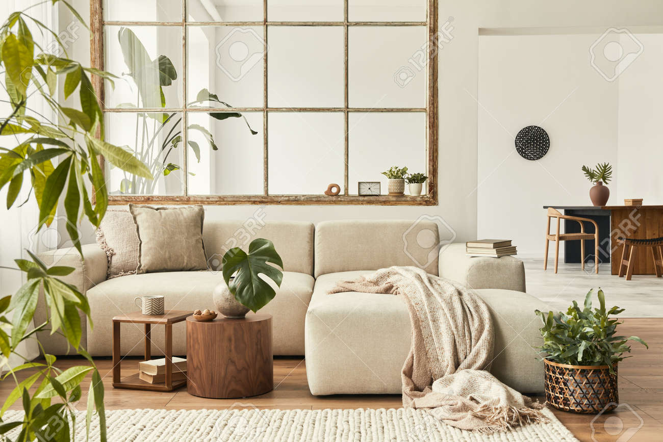 Modern interior of open space with design modular sofa, furniture, wooden coffee tables, plaid, pillows, tropical plants and elegant personal accessories in stylish home decor. Neutral living room. - 166415093 Modern interior of open space with design modular sofa, furniture, wooden coffee tables, plaid, pillows, tropical plants and elegant personal accessories in stylish home decor. Neutral living room. - 166415093