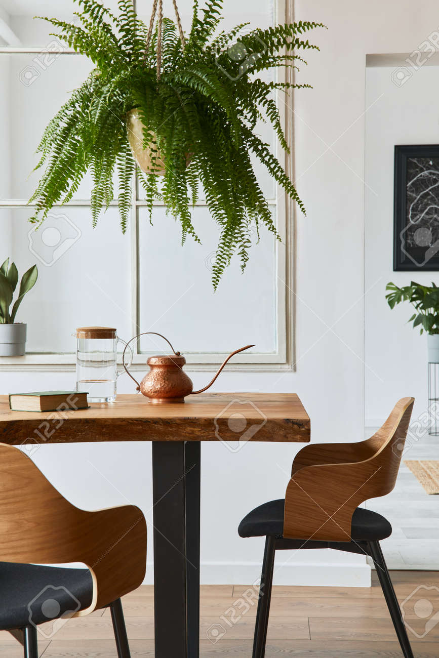 Stylish and cozy interior of dining room with design craft wooden table, chairs, plants, velvet sofa, poster map and elegant accessories in modern home decor. Template. - 168356331 Stylish and cozy interior of dining room with design craft wooden table, chairs, plants, velvet sofa, poster map and elegant accessories in modern home decor. Template. - 168356331