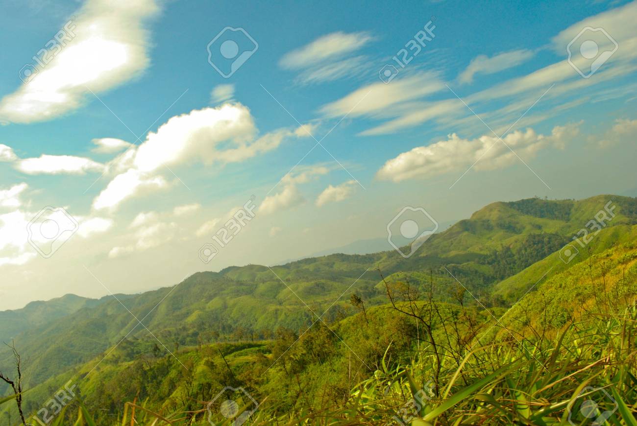 etiam-dictum-ipsum-a-felis