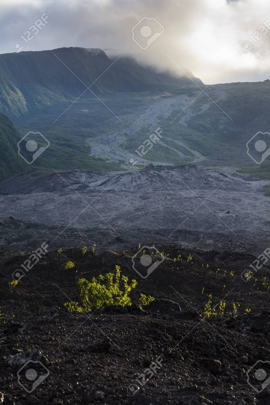 フルネーズ火山レユニオン島の海岸線の近くの古い溶岩流 の写真素材 画像素材 Image フルネーズ火山レユニオン島の海岸線の近くの古い溶岩流 の写真素材 画像素材 Image