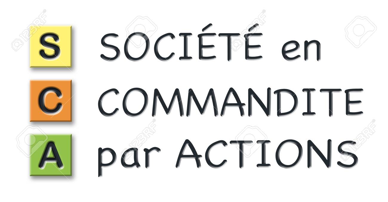 Sca 3d Initials In Colored 3d Cubes With 3d Meaning In French