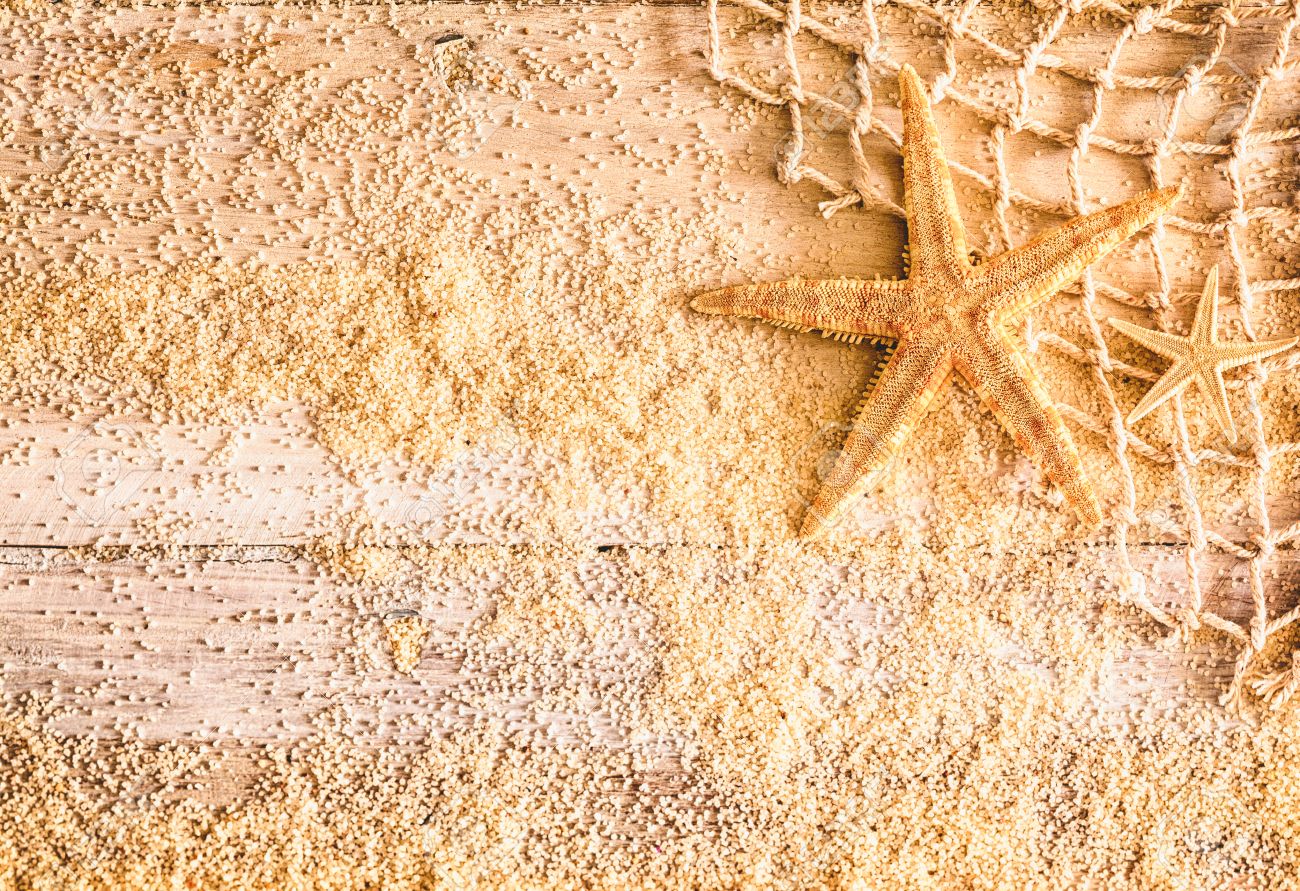 Yeele 5x3ft Navigation Beach Photography Background Conch Starfish Fishing Net Summer Party Anchor Rudder White Wooden Plank Photo Backdrops Portrait Shooting Studio Props Wallpaper Yeele 5x3ft Navigation Beach Photography Background Conch Starfish Fishing Net Summer Party Anchor Rudder White Wooden Plank Photo Backdrops Portrait Shooting Studio Props Wallpaper